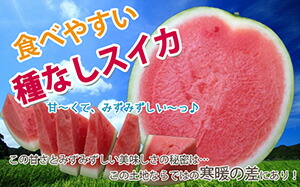 楽天市場】ブラックジャック スイカ 種無しスイカ 送料無料 【 種なし