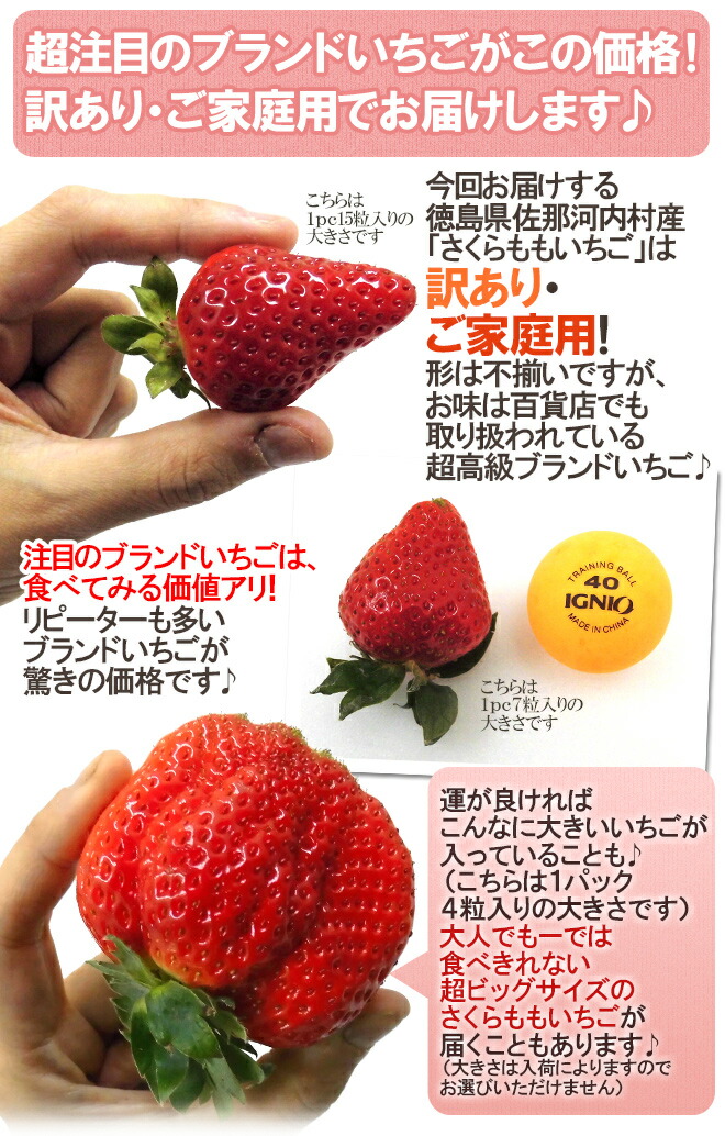 楽天市場】徳島県佐那河内村 ”さくらももいちご” 訳あり 約200g×4pc