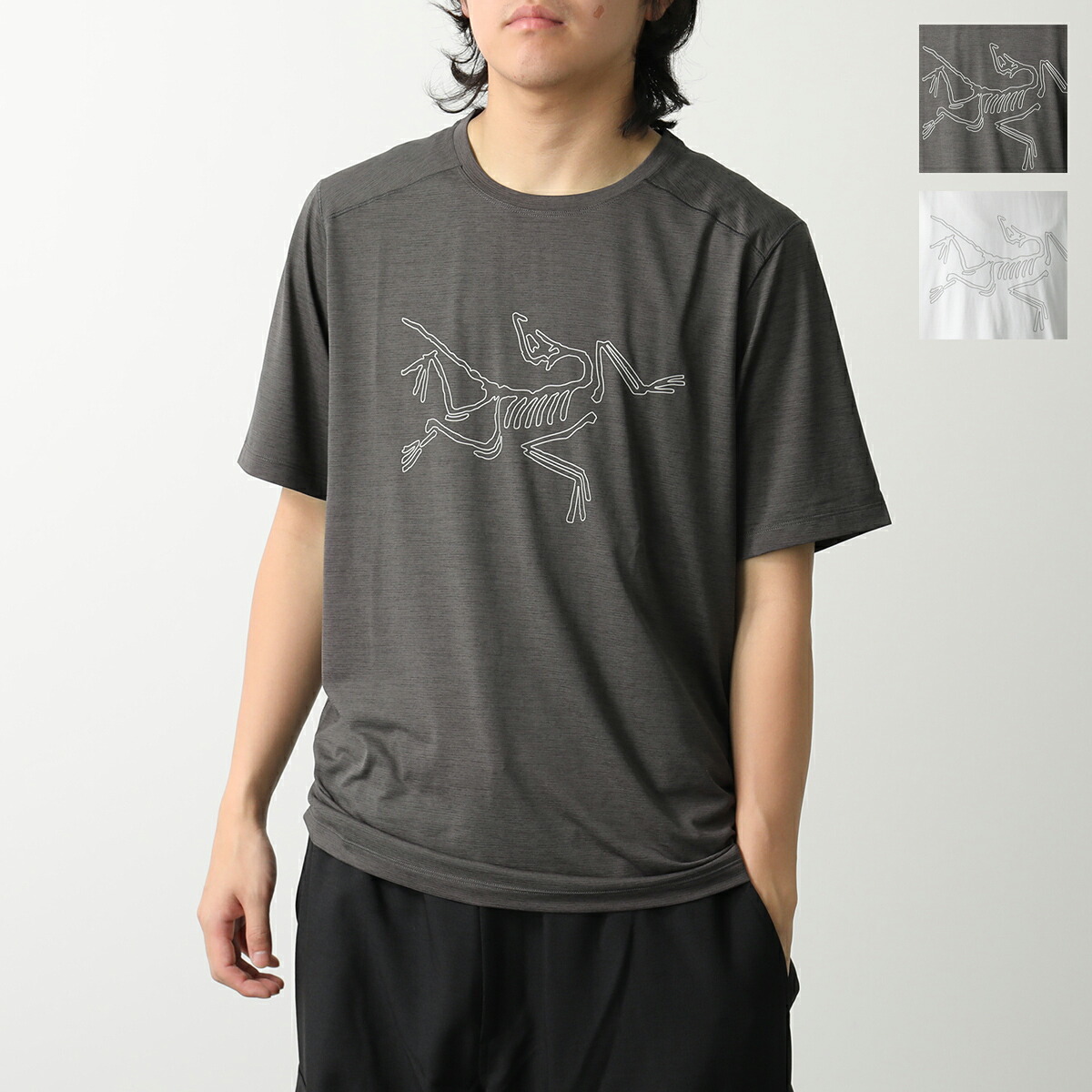 楽天市場】ARC'TERYX アークテリクス Tシャツ Cormac Logo SS