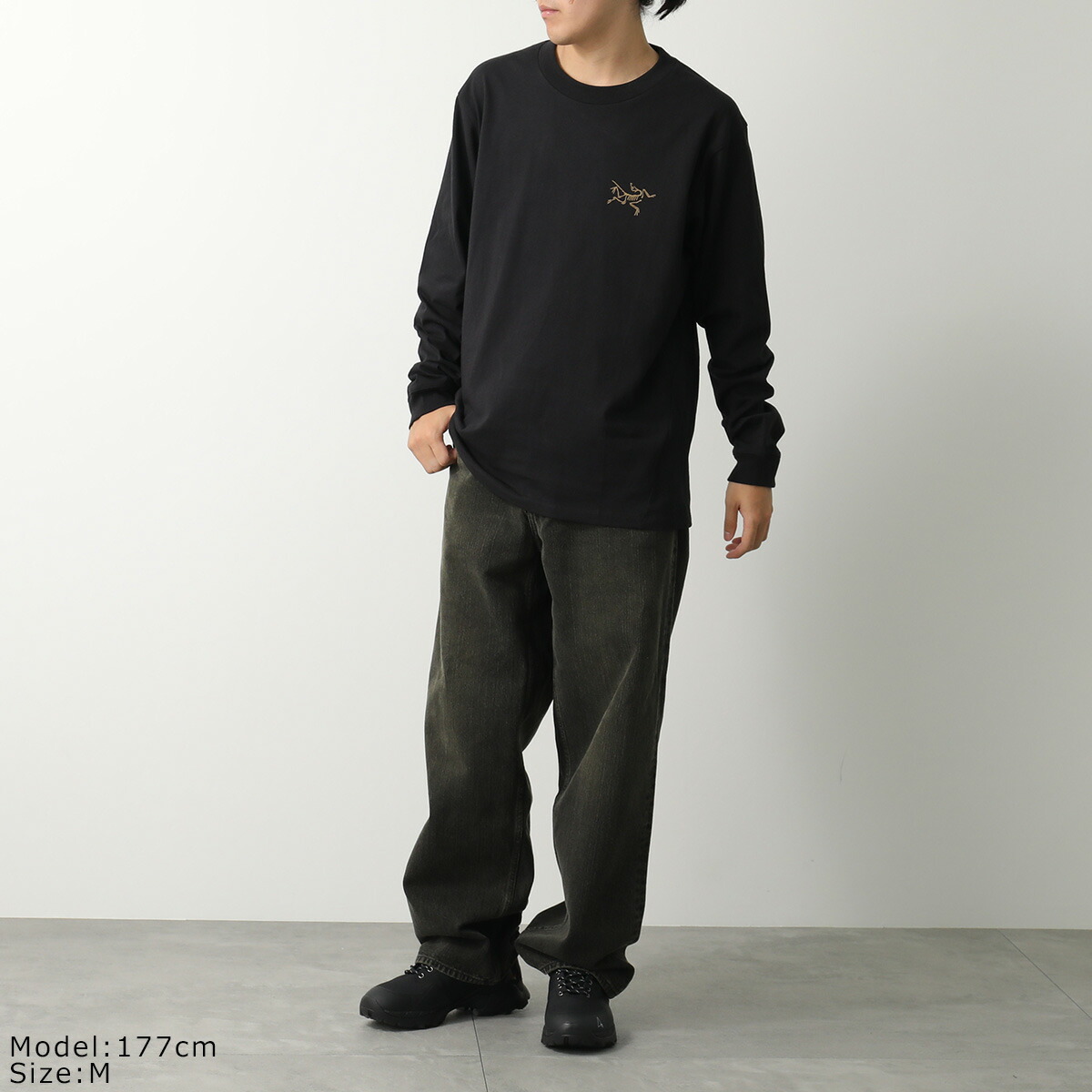 楽天市場】ARC'TERYX アークテリクス Tシャツ KRAGG COTTON LS