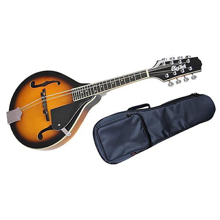 楽天市場】マンドリン ソフト ケースの通販