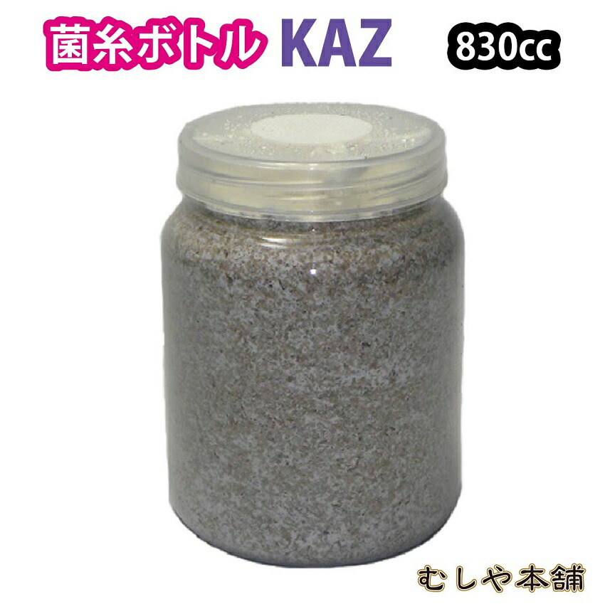 楽天市場】むしや本舗 トレハロース入り 菌糸ボトル バイオパワーKAZ