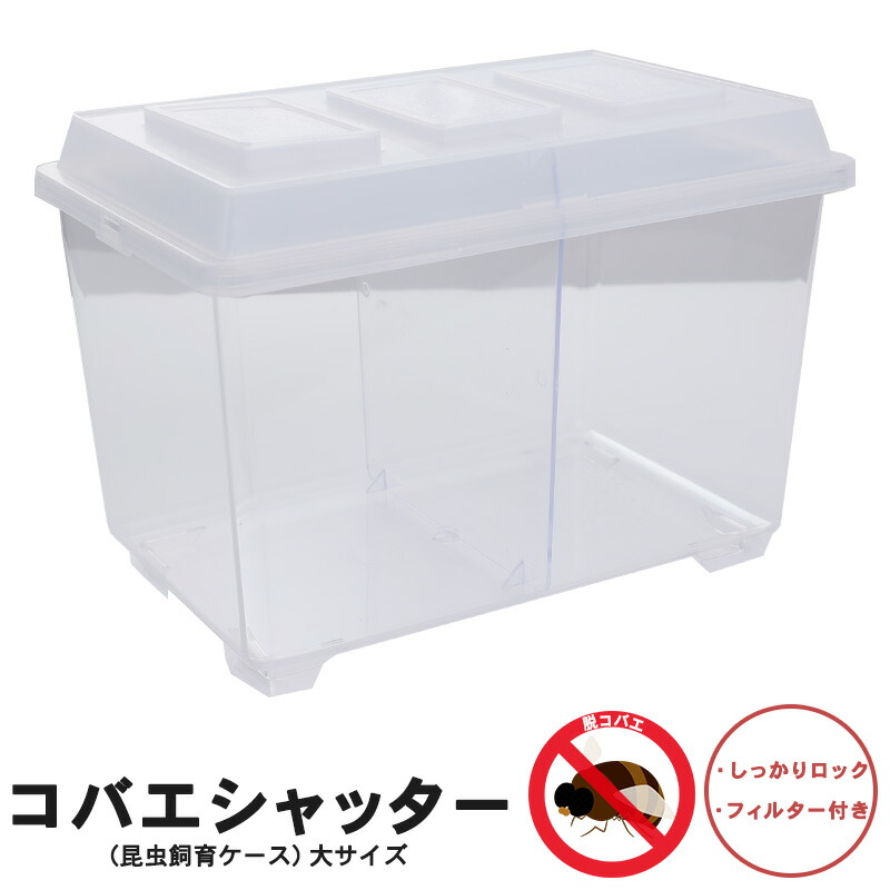 コバエシャッター 昆虫 飼育ケース 大」の人気商品一覧 | 安い商品を