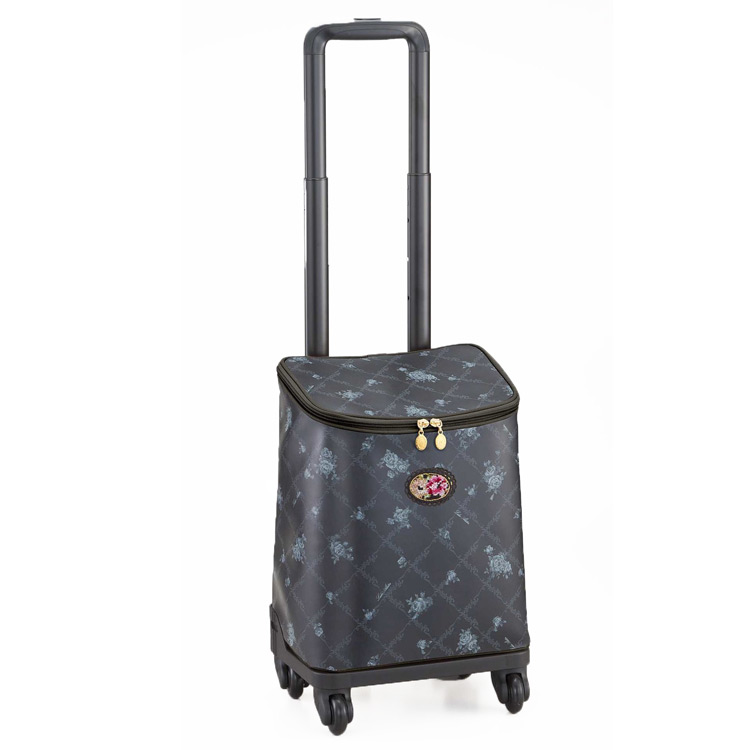 楽天市場】レイクアルスター キャリー トランクケース TT-ミニ4輪