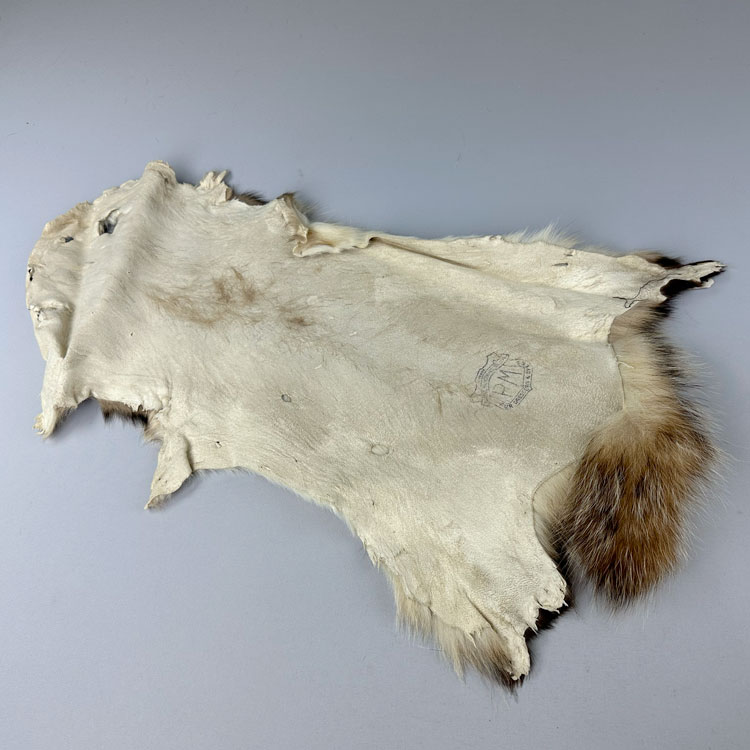 楽天市場】バジャー（アナグマ） 穴あき/アイデアでいろいろな用途に