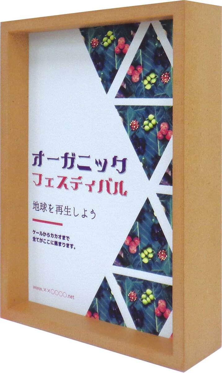 楽天市場】OA額 額縁 MDF製 B5サイズ BOXフレーム フライヤーフレーム