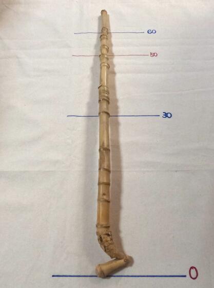釣り具・その他グリップ用布袋竹「超極太・長尺・芽取り無し」6本