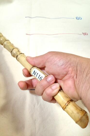 楽天市場】【布袋竹N5002】 グリップに最適6 : はっぴ専門店【阿波安