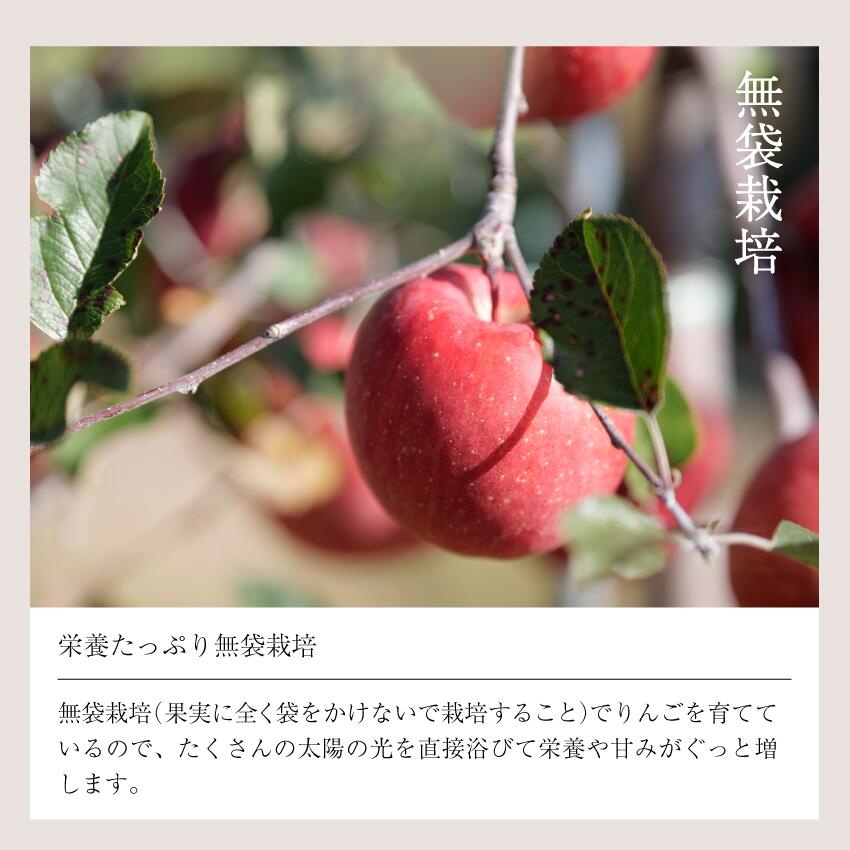 楽天市場】1月7日から発送の商品です！マツコDXさんがテレビで絶賛