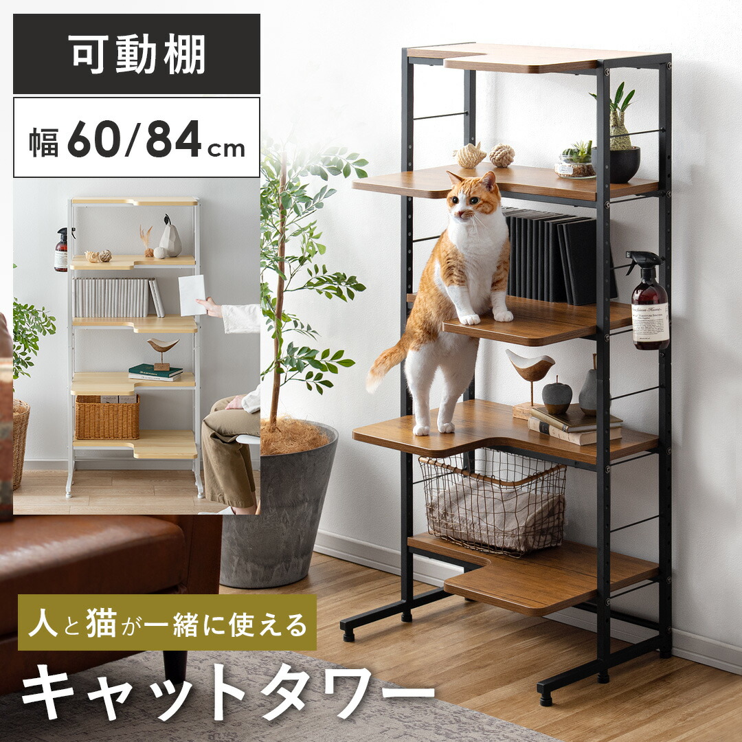 楽天市場】【3/4限定！先着5名様50％OFFクーポン配布中】 キャット