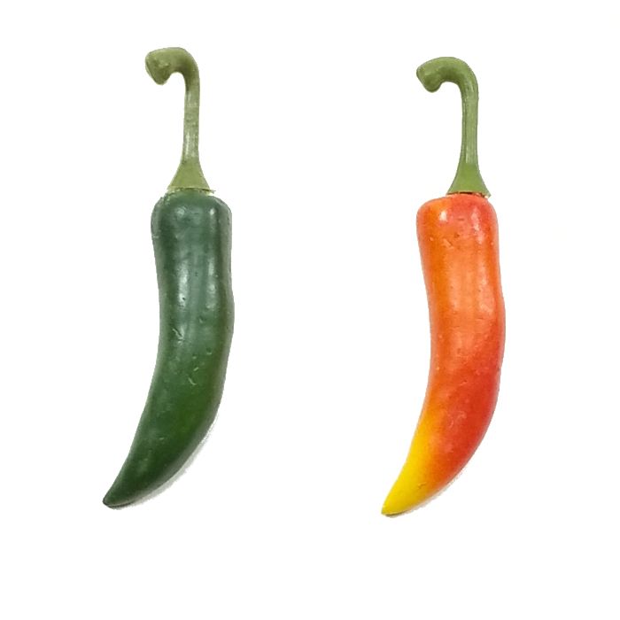 楽天市場】【造花・夏】赤とうがらし・青とうがらし / トウガラシ