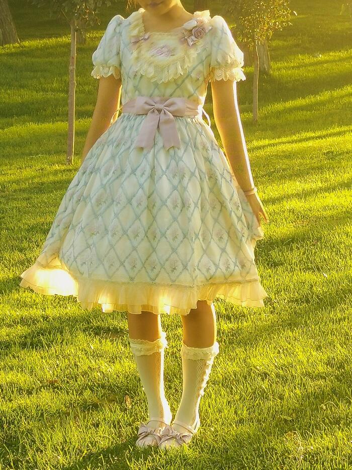 楽天市場】パニエ 2段ワイヤー 調節可能 ミディ丈 星柄 ロリィタ