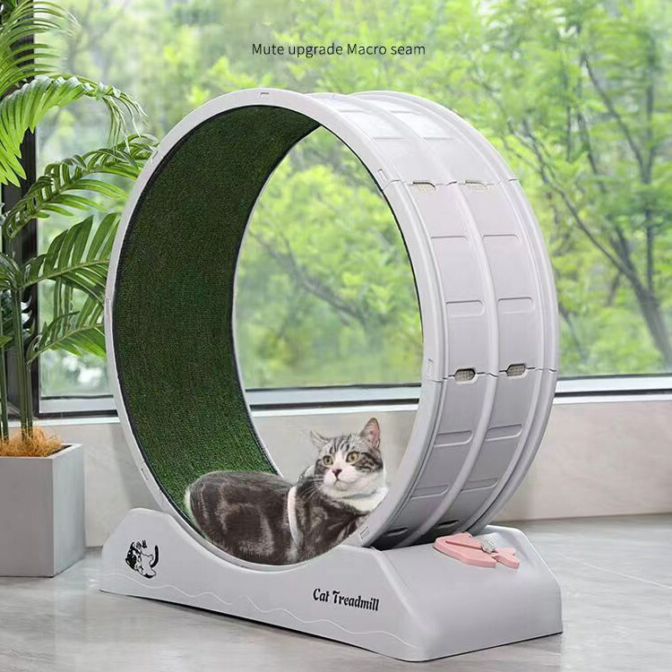 楽天市場】【6%OFFクーポン】キャットホイール 猫 回し車 ロック装置