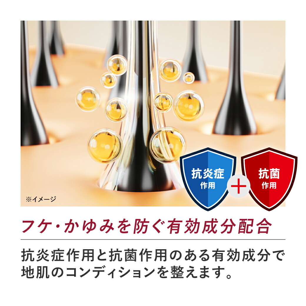 楽天市場】[医薬部外品]スカルプD 薬用スカルプシャンプー 付け替え用