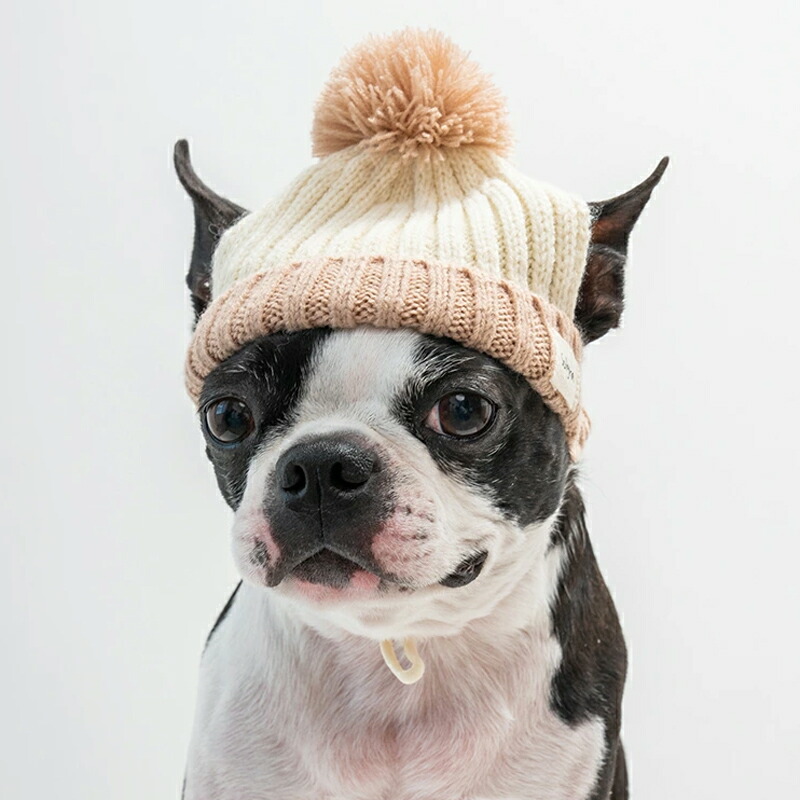 GG denim LINE 犬用ニット帽 ateliergg アトリエgg GG MADE IN TOKYO