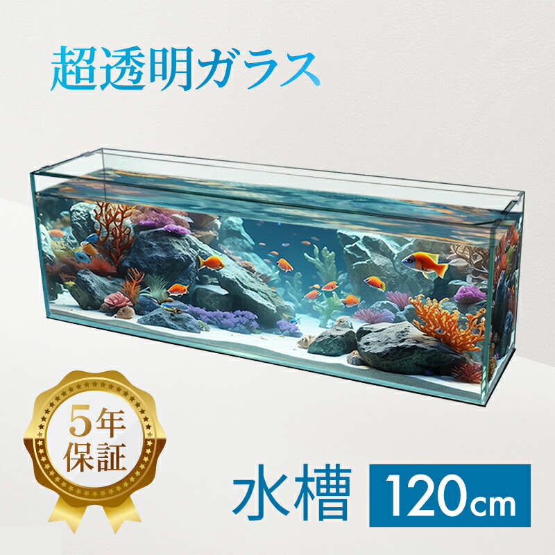 楽天市場】水槽 120cm ガラス水槽【120×30×40cm 128L】クリスティ