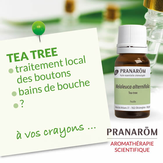 ストーン さま】PRANAROM ティートゥリー BIO 10ml 精油 楽天市場