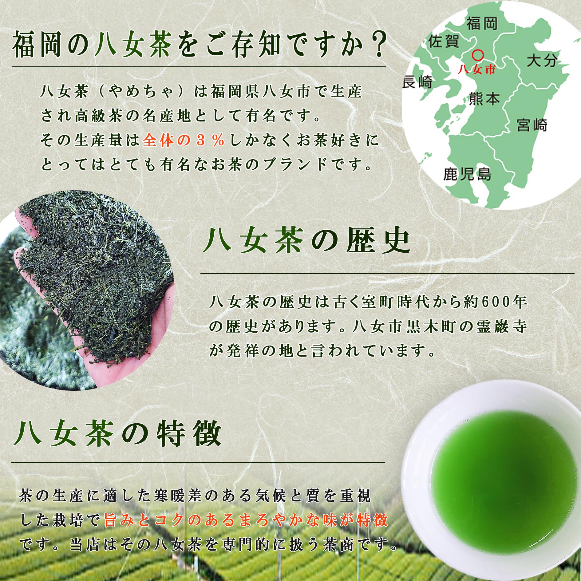 楽天市場】＼スーパーSALE 半額／ お茶 八女茶 特上煎茶 極 100g 送料