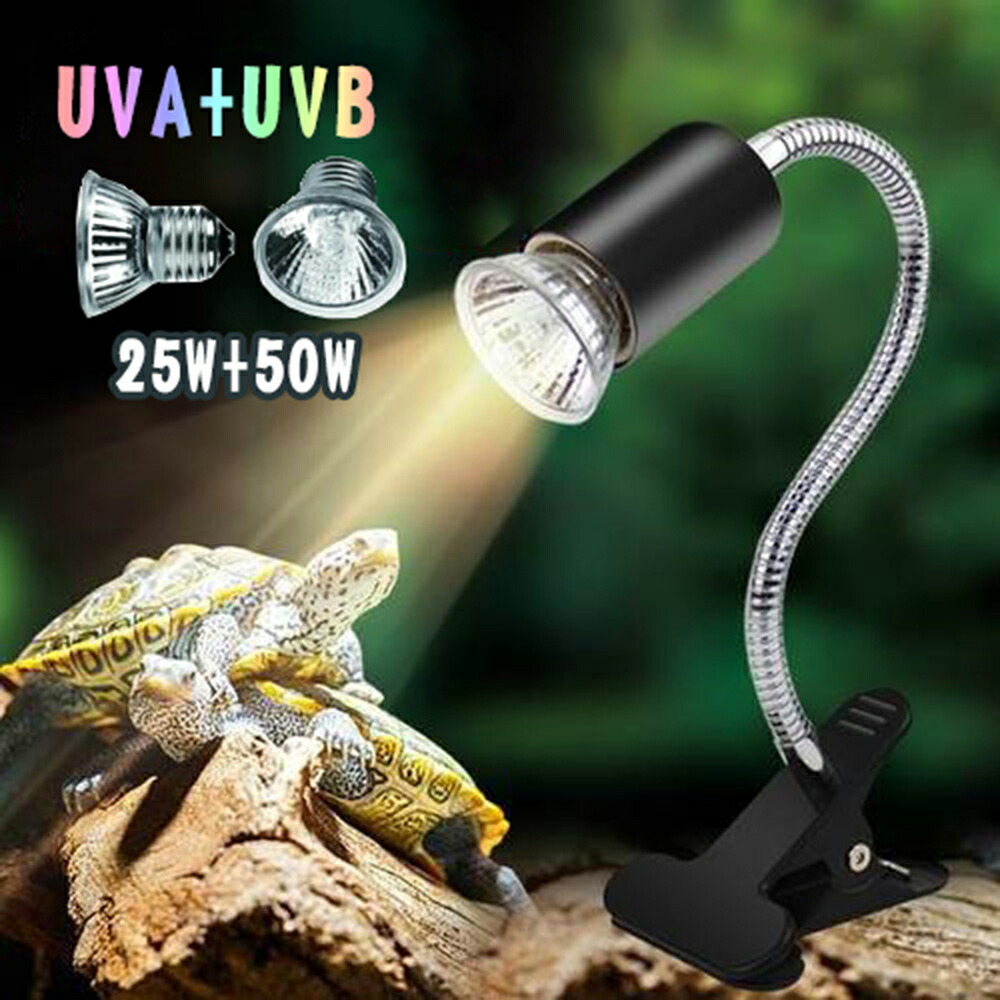 爬虫類 トカゲ カナヘビ 飼育セット 紫外線ライト 保温ライト 楽天市場