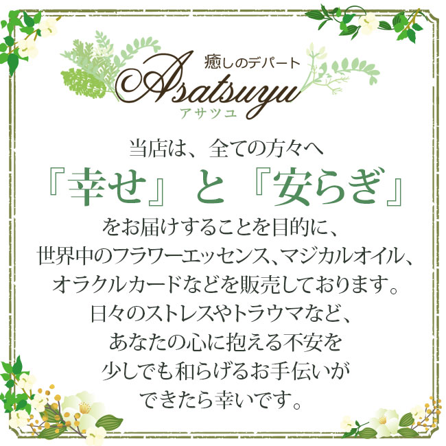 楽天市場】ECストロングスプレー 200ml 詰替用 ヒーリングハーブス