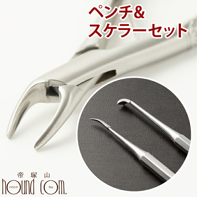 楽天市場】【割引クーポン配布中】愛犬・愛猫歯石取りペンチとスケラー