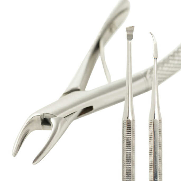 楽天市場】【割引クーポン配布中】帝塚山ハウンドカム 歯石取りペンチ