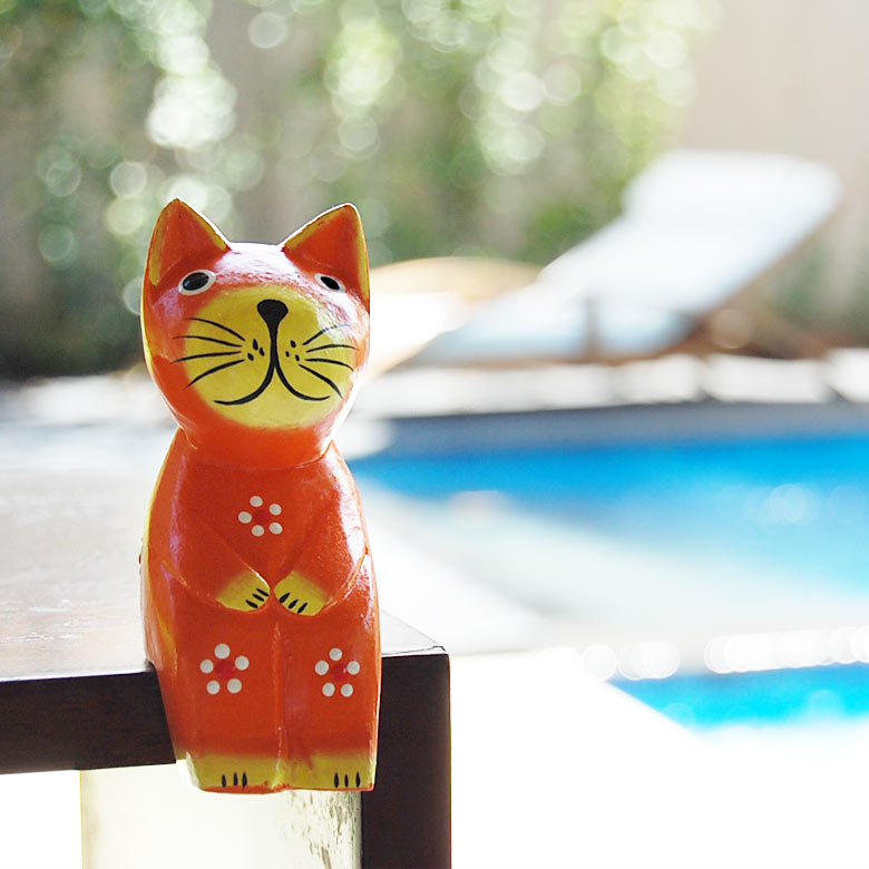 あか商品 45cm パラオ猫 あか商品 45cm パラオ猫 あか商品 45cm パラオ