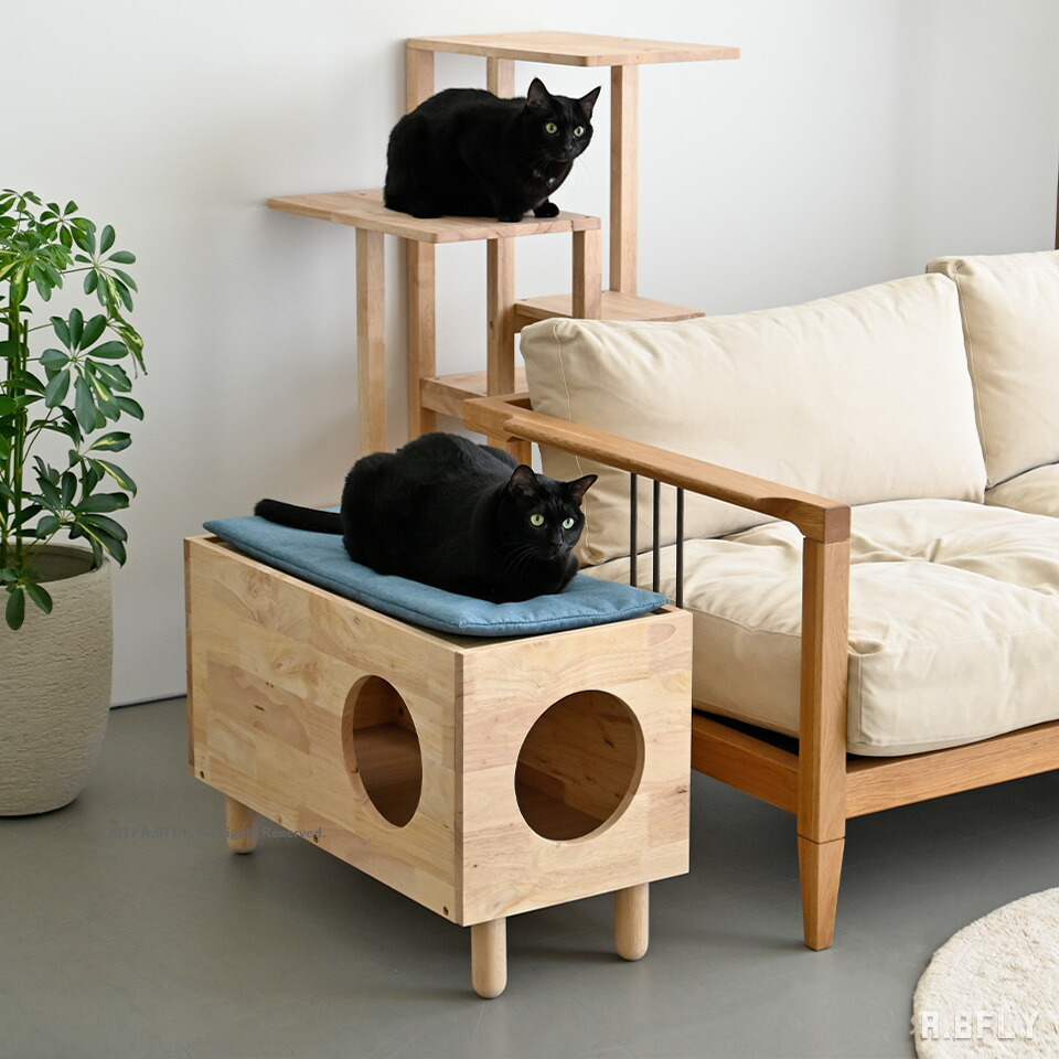 楽天市場】【SS限定｜最大8,000円OFFクーポン】キャットハウス サイド