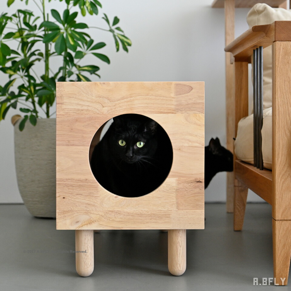 楽天市場】【SS限定｜最大8,000円OFFクーポン】キャットハウス サイド