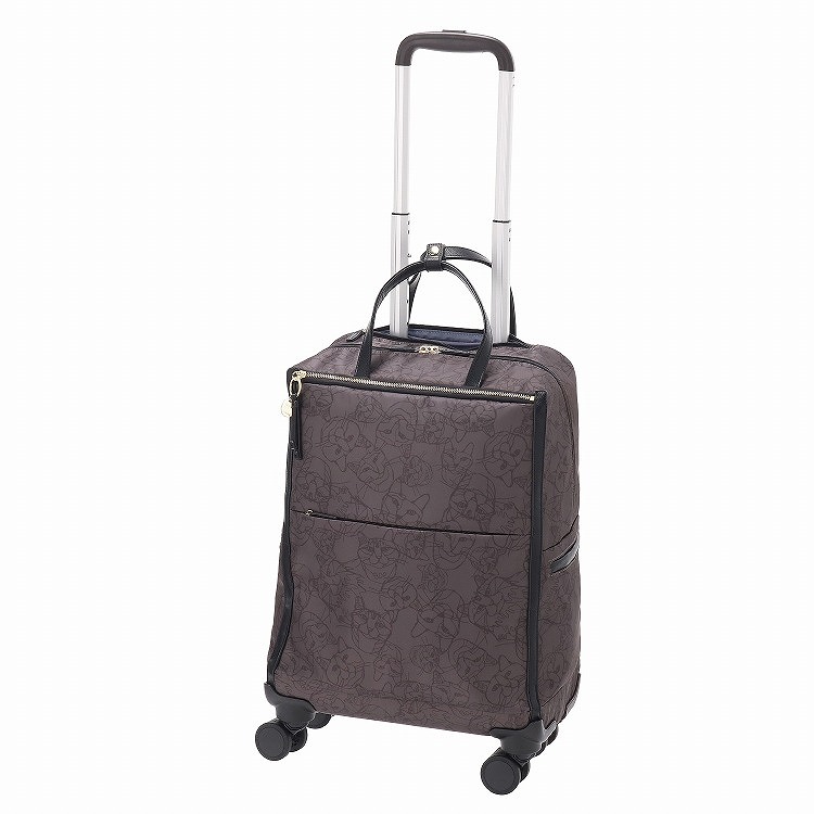 エース ACE キャリーバッグ ソフト」の人気商品一覧 | 安い商品を通販