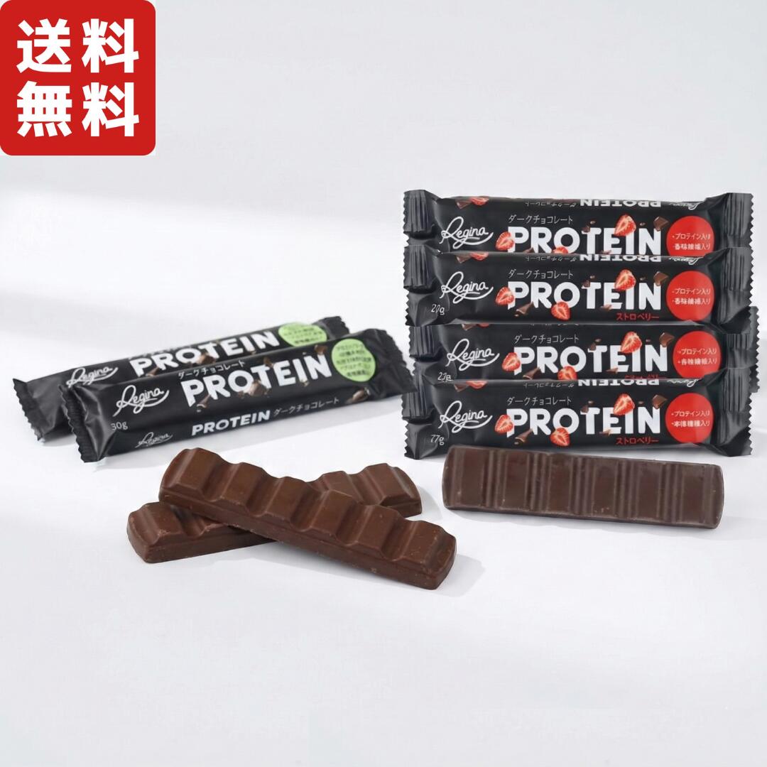 楽天市場】【 レジーナ テルヴィス プロテイン チョコレートバー