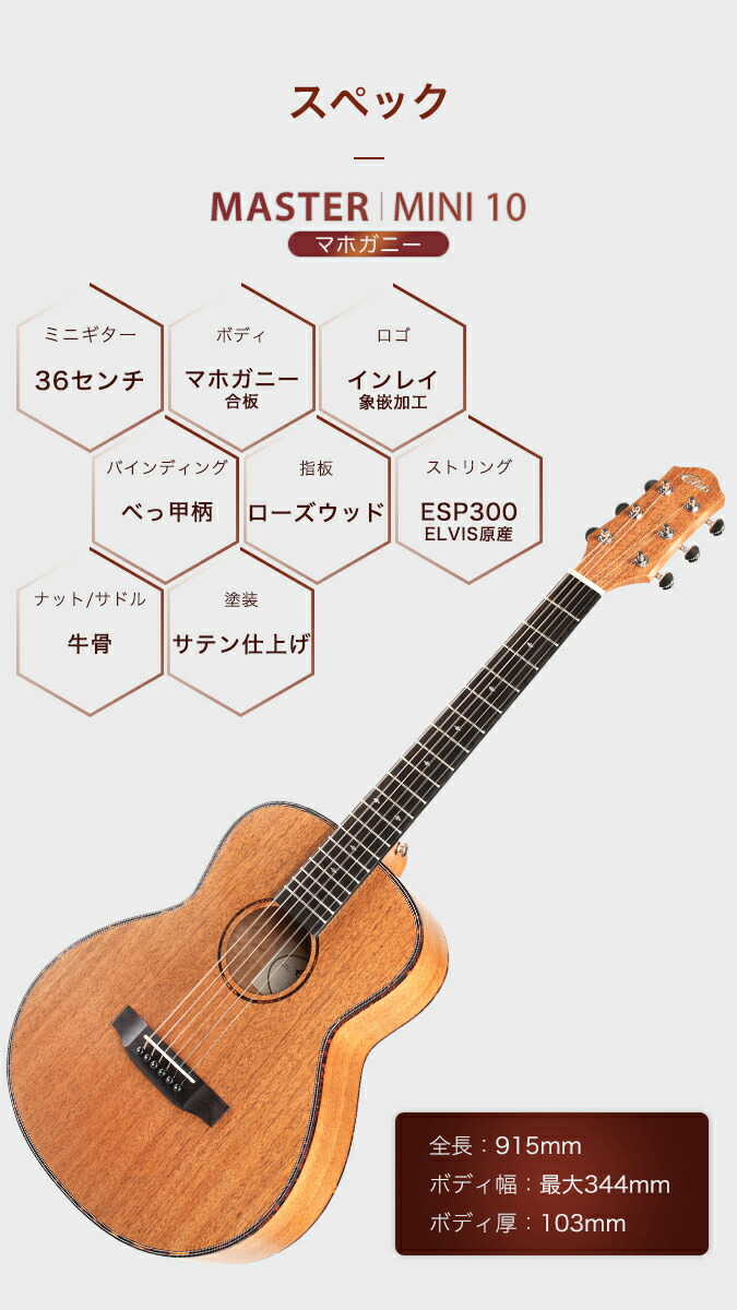 楽天市場】【初心者定番9点セット】ELVISエルビス Master Mini 10