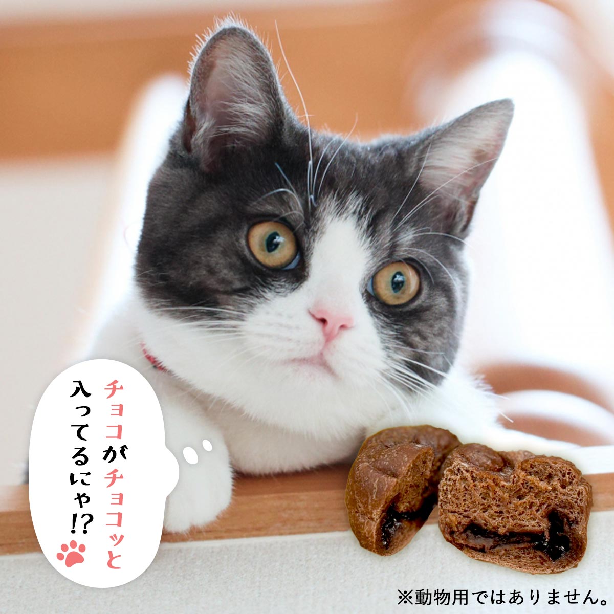 楽天市場】チョコっと肉球ベーグル(4個入り) 詰め合わせ ギフト 国産