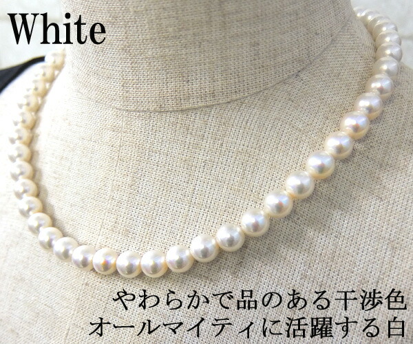 楽天市場】【16年連続楽天年間ランキング受賞】日本製国産 特A級本貝