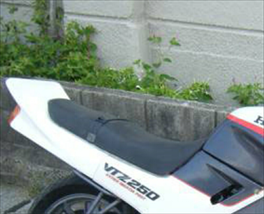 楽天市場】VTZ250 CBX テールカウル 変換キット タイプ1 : バイクマン