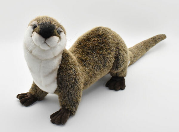 楽天市場】ケーセン カワウソの通販