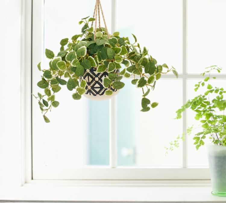 楽天市場】ハンギング グリーン D プミラ (造花 フェイクグリーン 吊り