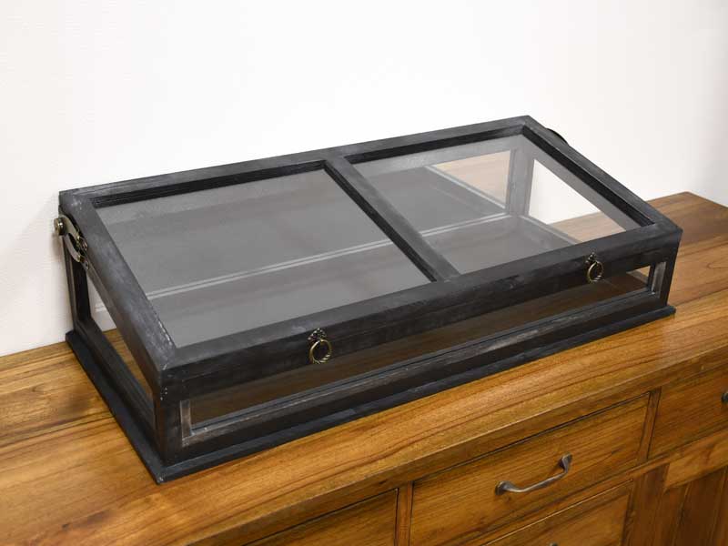 楽天市場】ヌアール ガラスコレクション ショーケース ディスプレイ