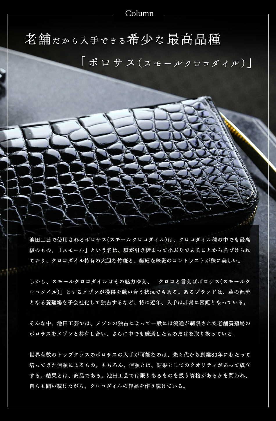 楽天市場】クロコダイル長財布 メンズ【池田工芸】Crocodile Long