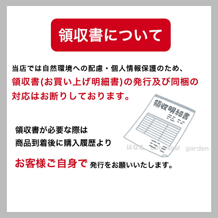 楽天市場】【花のプラセル🄬】コリウス ウィザード ミックス 72