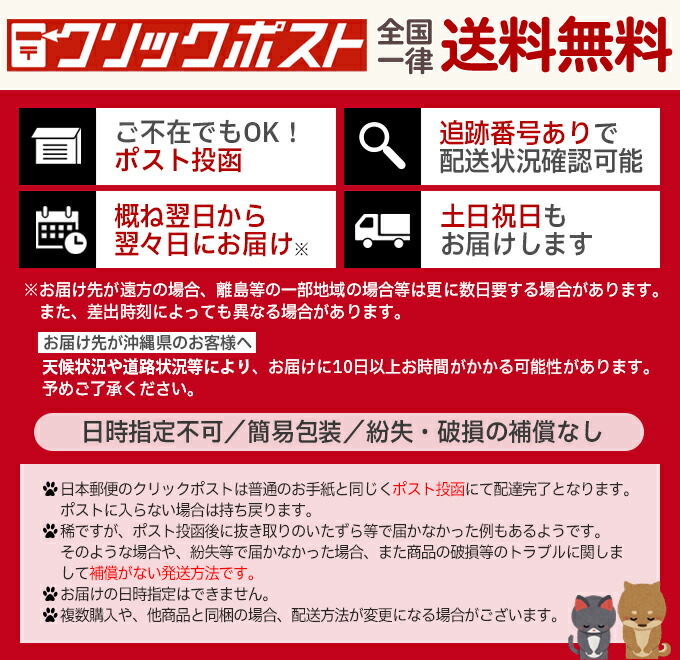 楽天市場】【10個セット】クリックポスト送料無料 フェザー プロガード