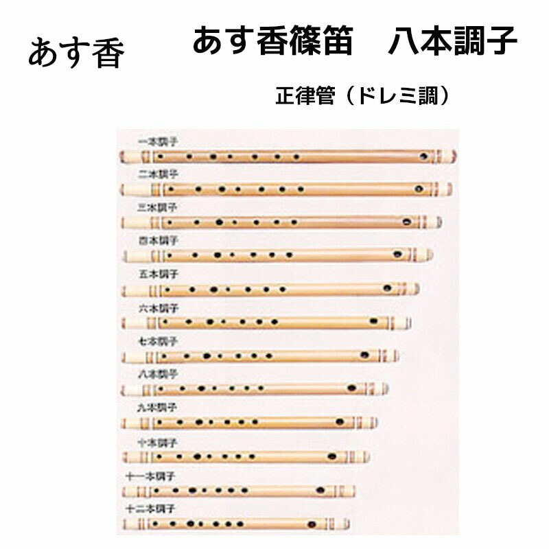 篠笛 ドレミ」の人気商品一覧 | 安い商品を通販サイトから探す - 価格.com