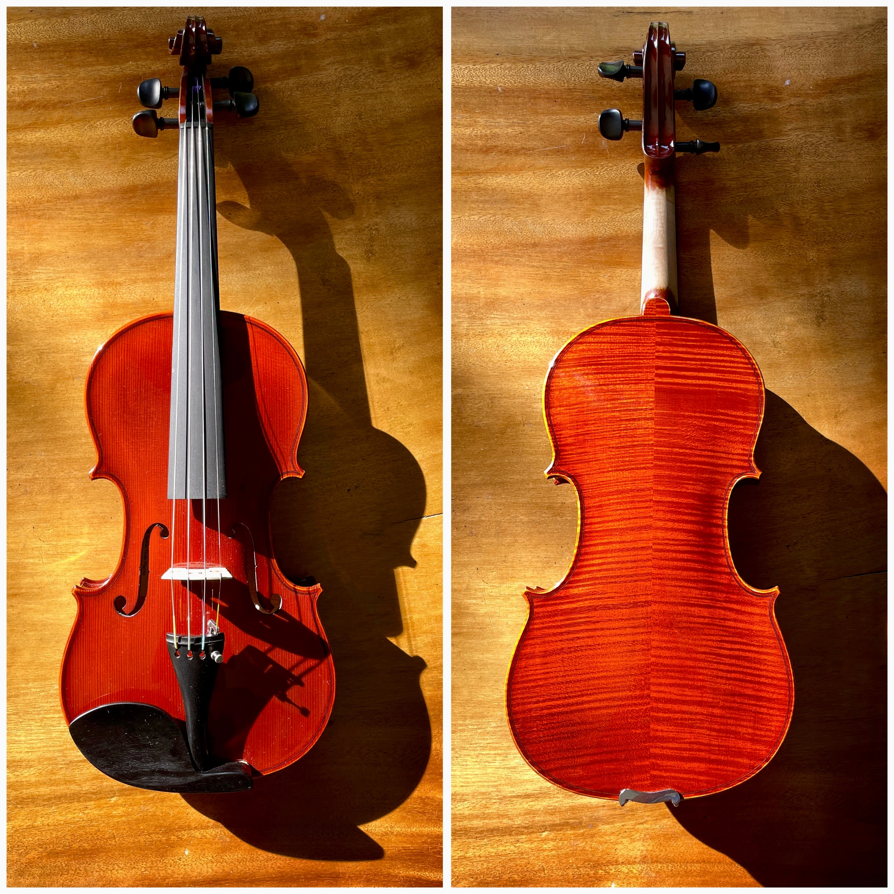 楽天市場】鈴木バイオリン ヴァイオリン No.510 4/4,3/4,1/2,1/4サイズ