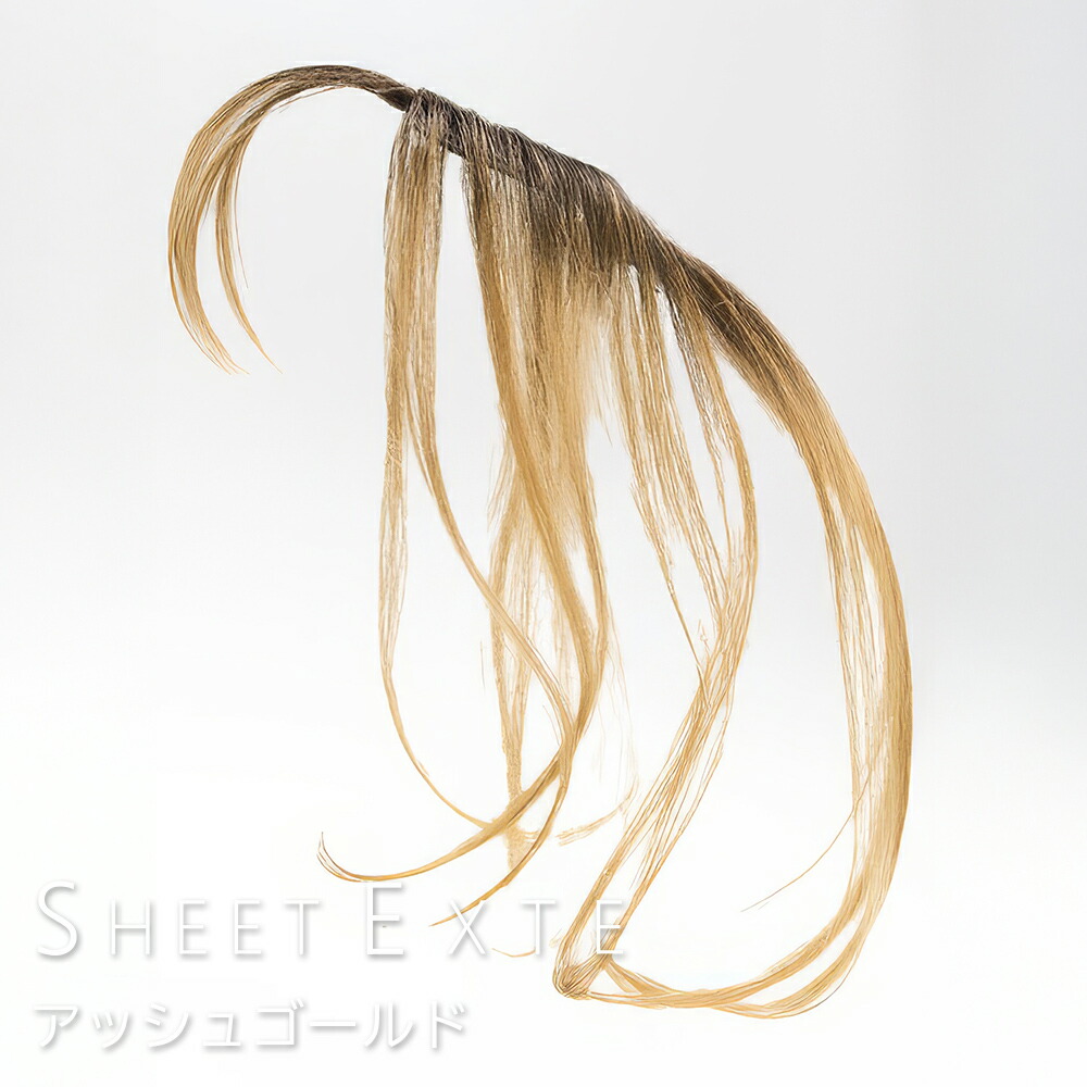 楽天市場】シートエクステ アッシュゴールド 1枚 【送料無料(全国