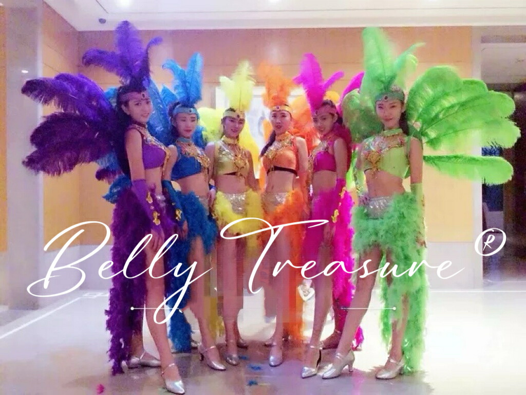 楽天市場】サンバ 衣装 6colorWM-010-202507ステージ衣装 背中の羽根