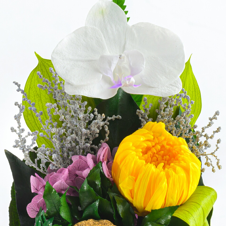 楽天市場】即日発送「蓮華 れんげ」プリザーブドフラワーベル