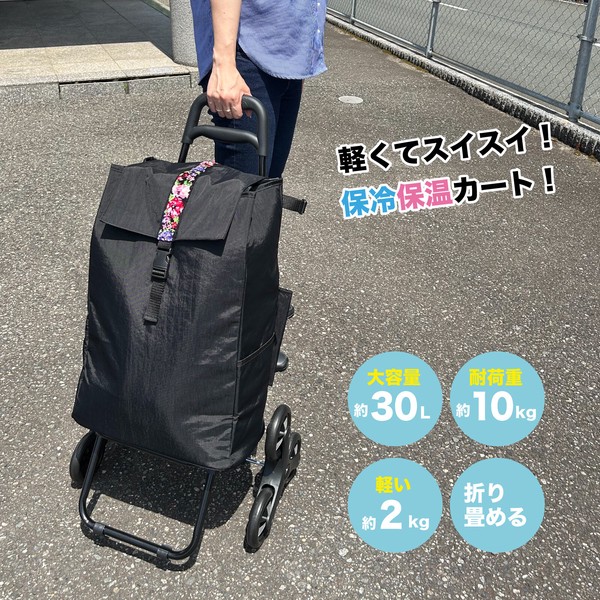 楽天市場】【10％OFFクーポン！2個以上ご購入で】 ショッピングカート