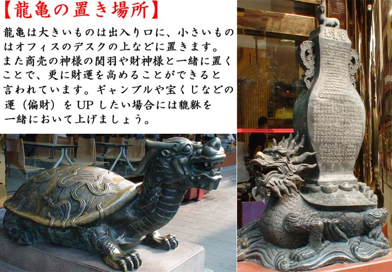 あきずき フローライト 龍亀 ロングイ 2体セット あきずき フロー