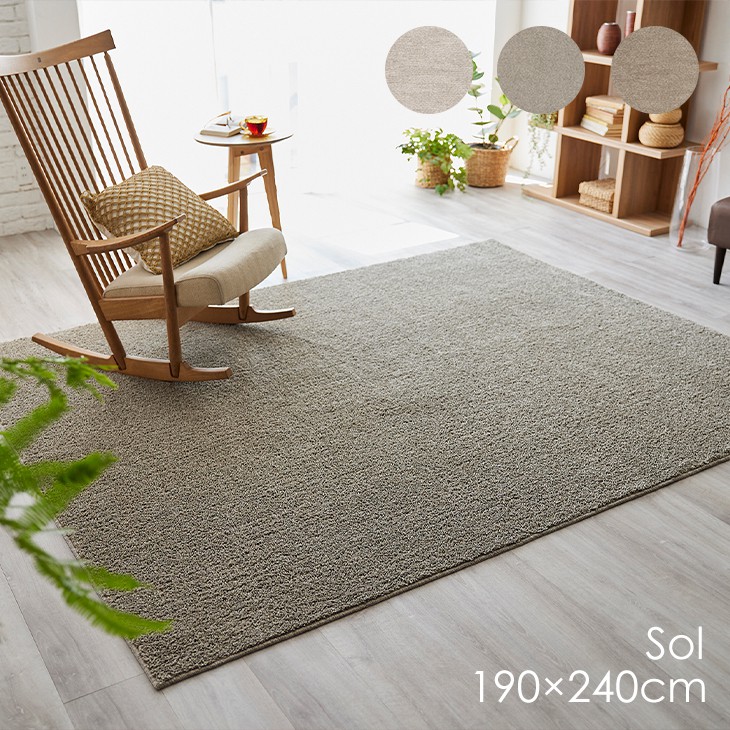 楽天市場】洗える ラグ ソル 190×240cm 22AW◇洗える 防ダニ 滑止 床