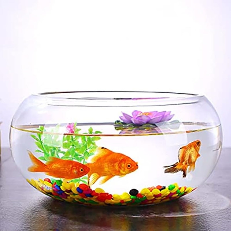 楽天市場】メダカ 水槽 おしゃれ メダカ鉢 鉢 メダカ入れ 金魚鉢 陶器